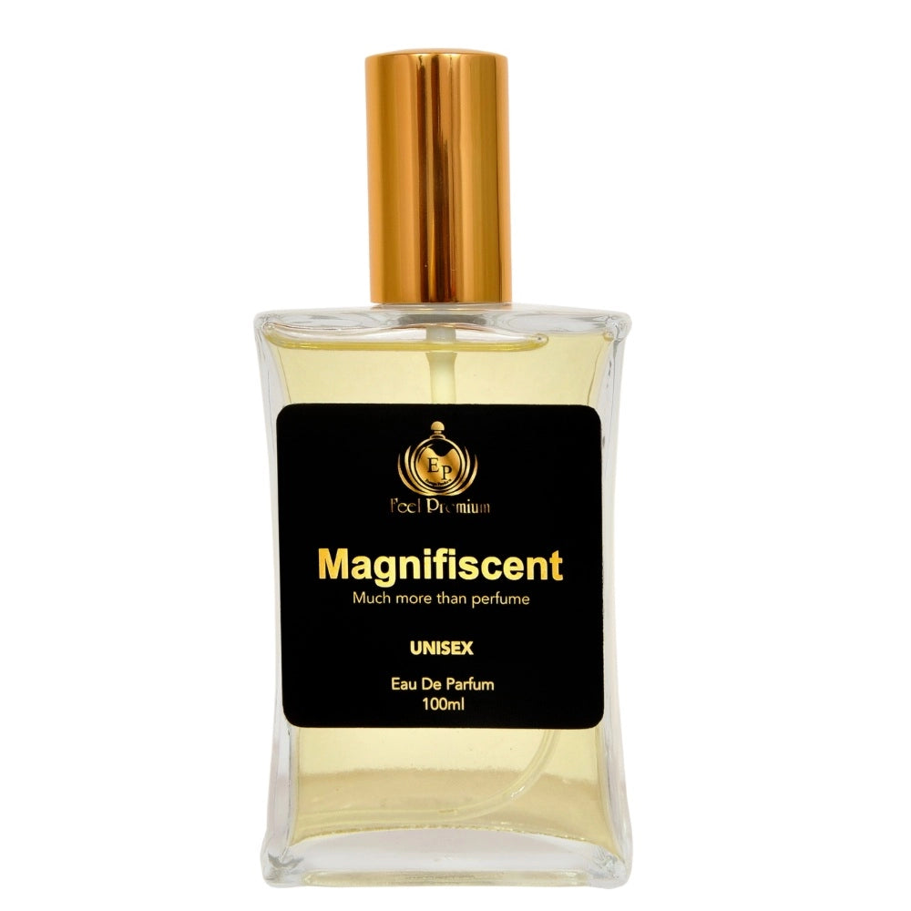 Generic Europa Magnifiscent 100ml Perfume Spray For Men And Women